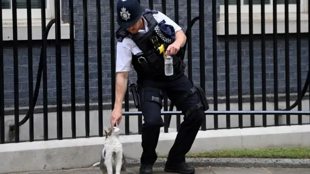 Policjant w mundurze pochyla się, by pogłaskać kota Larry'ego. W drugiej ręce trzyma butelkę wody. Larry wydaje się zadowolony.