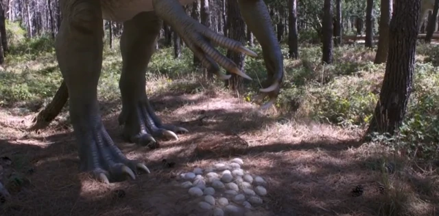 டைனோசரின் மூன்றாவது முட்டை கூடு