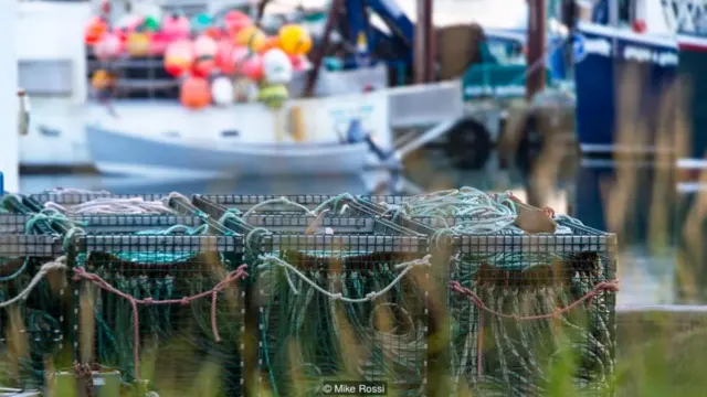 Unas redes en la isla canadiense de Grand Manan Foto: Mike Rossi
