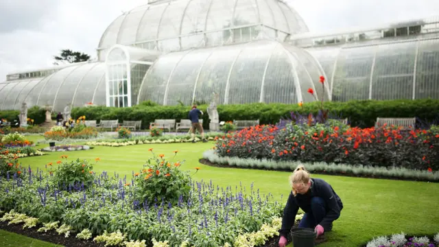 Uno de los grandes invernaderos de vidrio de Kew Gardens, el jardín botánico de Londres