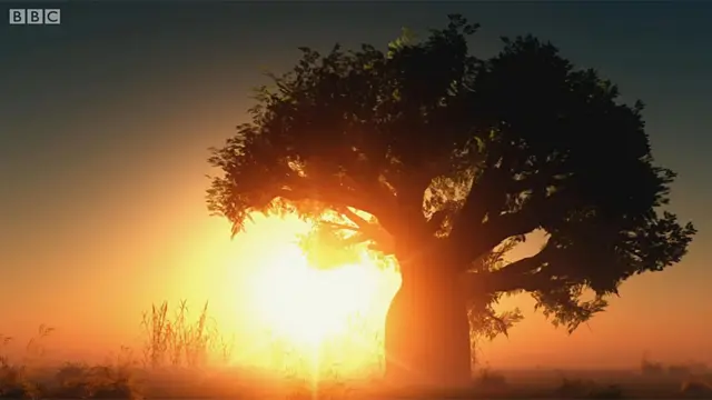 Paisaje africano
