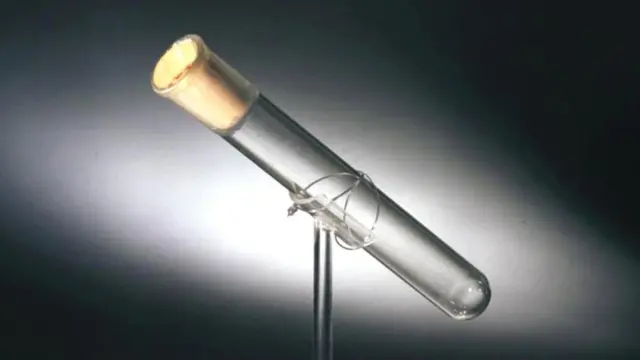 Пробирка, в которой якобы содержится последний выдох американского изобретателя и предпринимателя Томаса Эдисона, до сих пор выставлена на всеобщее обозрение в Музее Генри Форда