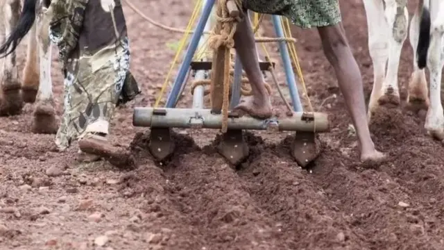 பெட்ரோல், டீசல், சமையல் எண்ணெய்க்குப் பிறகு கோதுமை மாவு விலையேற்றம், இதற்கு யார் பொறுப்பு