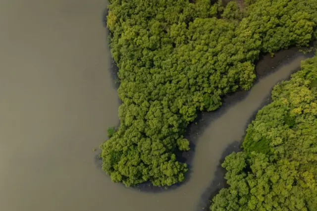 બીબીસી ગુજરાતી