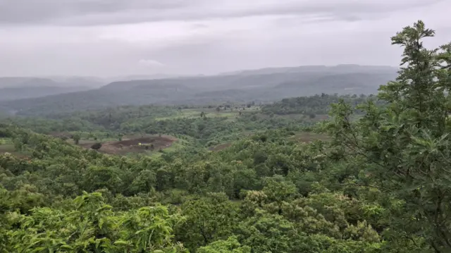 తెలంగాణ, జీవో 49, ఆదివాసీలు, కుమ్రం భీమ్ కన్జర్వేషన్ రిజర్వ్