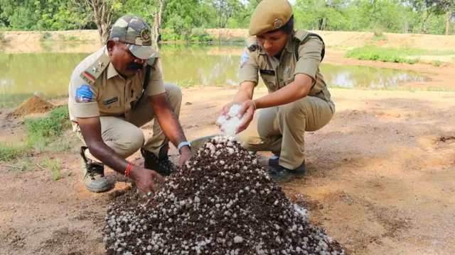 కవ్వాల్ అభయారణ్యంలో ఉప్పు కుప్పలు