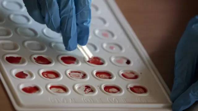 Донорська кров