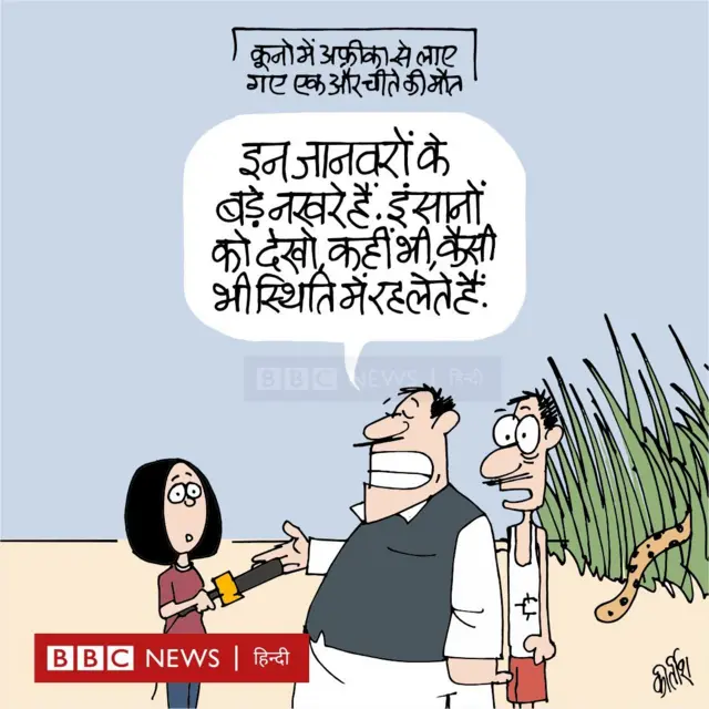 कार्टून
