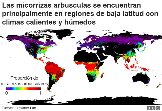 Mapa de distribución de micorrizas arbusculares