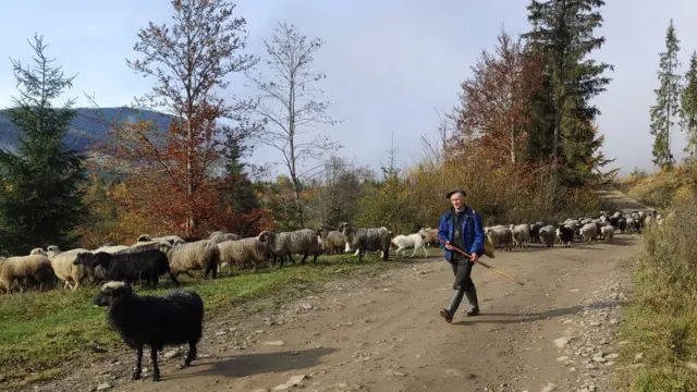 Ілля Вербищук