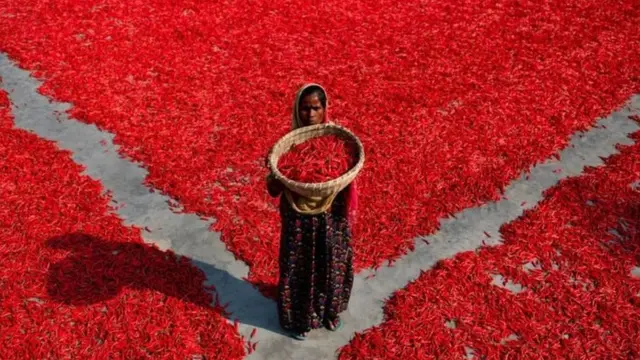 घरातली कामं, महिला, लिंगसमानता, संस्कृती