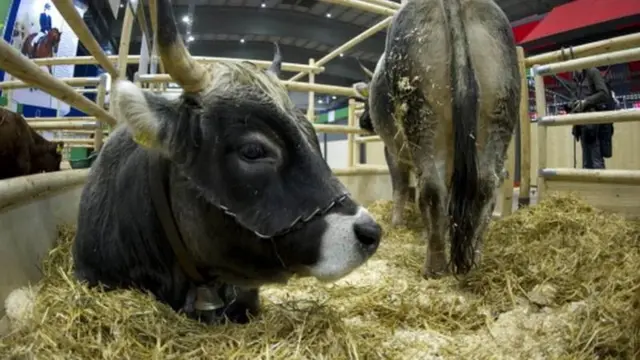 کانګو ویروس معمولًا له څارویو انسانانو ته لېږدي.