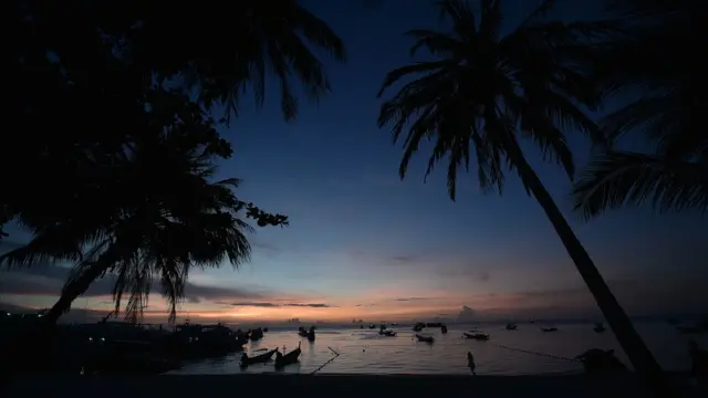 เกาะเต่า