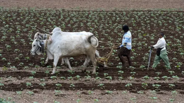 விவசாயிகள் வலியுறுத்தும் எம்.எஸ். சுவாமிநாதனின் அறிக்கை என்ன கூறுகிறது?