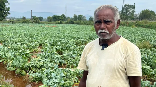 కళ్లికోట గ్రామానికి చెందిన రైతు పైడయ్య