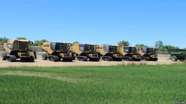 వ్యవసాయం