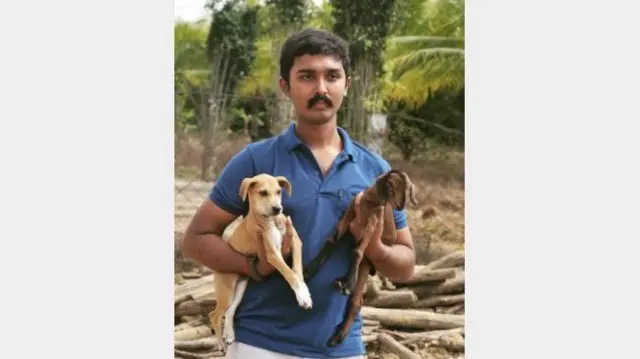 தமிழ்நாடு, நாய்கள்