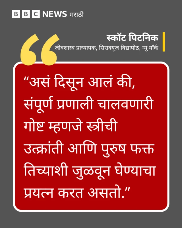 असं दिसून आलं की, संपूर्ण प्रणाली चालवणारी गोष्ट म्हणजे स्त्रीची उत्क्रांती आणि पुरुष फक्त तिच्याशी जुळवून घेण्याचा प्रयत्न करत असतो, असं स्कॉट पिटनिक म्हणतात.