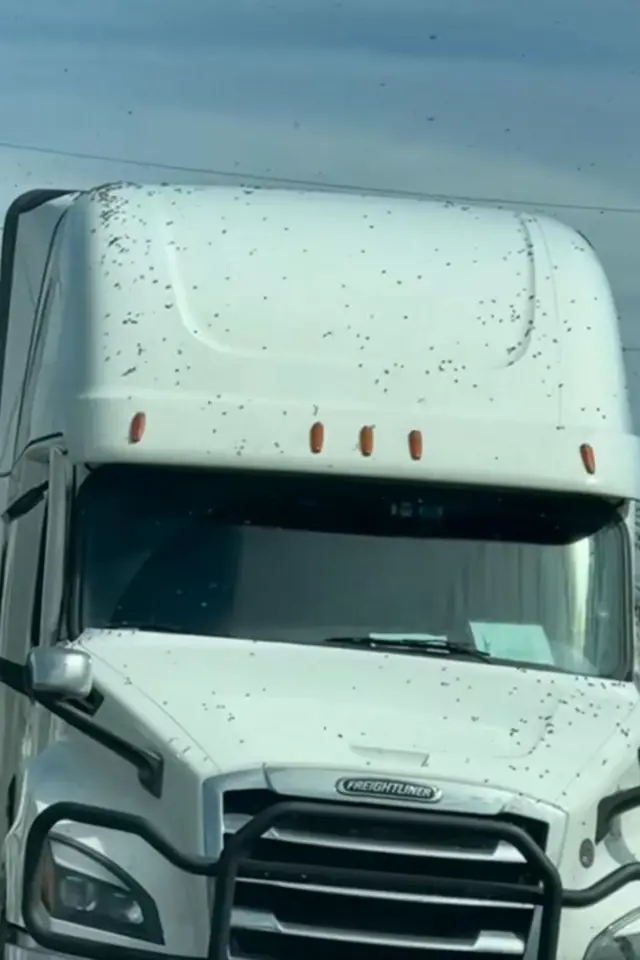 እታ ኣናህብ ሒዛ እንከላ ዝተገልበጠን ዓባይ መኪና