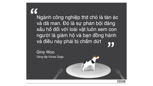 Thông điệp từ Korea Dogs