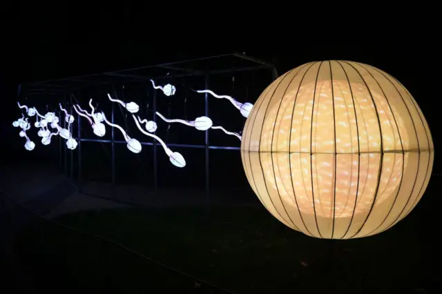 Uretral masturbatsiya videosini tomosha qiling