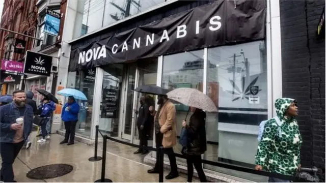 কানাডায় গাজা বৈধ হওয়ার পর একটি গাজা বিক্রির দোকান