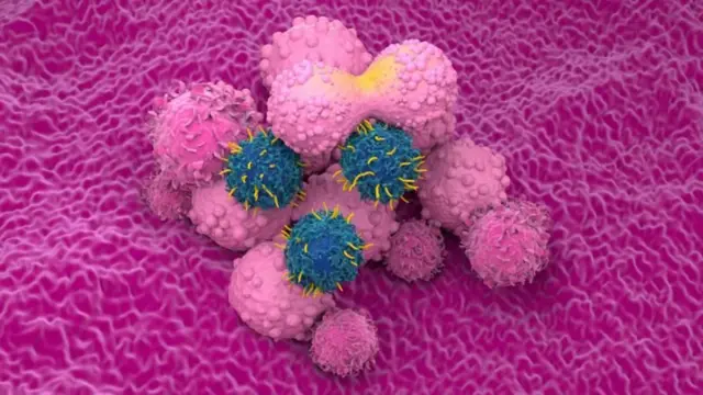 प्रतिकात्मक फोटो