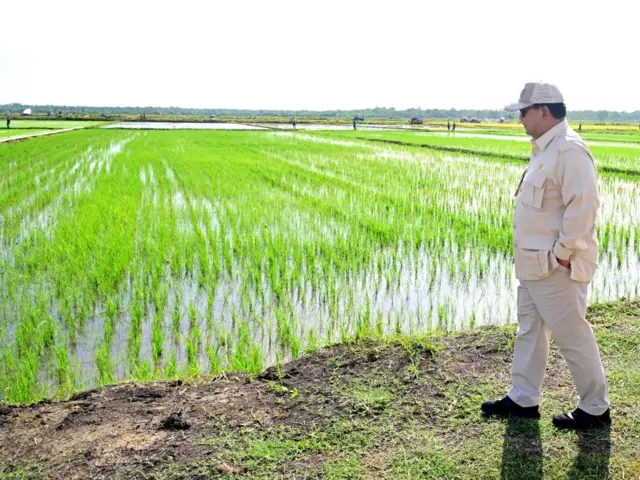 Prabowo, lumbung pangan