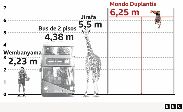 Gráfico que muestra cuánto saltó Duplantis comparado con una jirafa, un bus de dos pisos y el basquetbolista Wembanyama