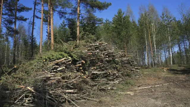 كيف ستعمل محطات توليد الطاقة بعد التوقف عن استخدام الفحم؟