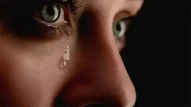 પ્રતીકાત્મક તસવીર