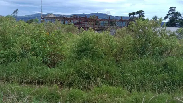 Perkebunan teh Garut