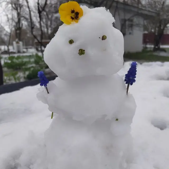 цим фото з Черкащини поділилася з BBC Україна читачка Аліна Дядкова