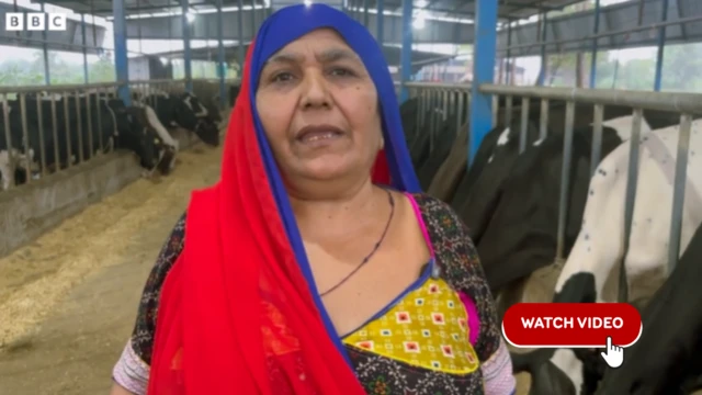 મણિબહેન , દૂધ , રોજગાર , ધંધો , ગુજરાત , બીબીસી ગુજરાતી 