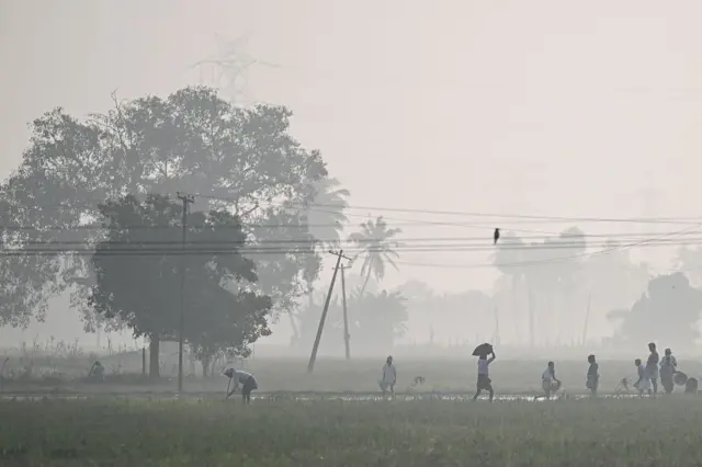 બીબીસી ગુજરાતી ધુમ્મસ ગુજરાત ઉત્તર ભારત પ્રદૂષણ ફેફસાં બીમારી 
