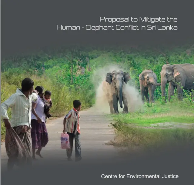 2024 අප්‍රේල් මස පරිසර යුක්ති කේන්ද්‍රය සකස් කළ යෝජනාවලට වනජීවී සංරක්ෂණ දෙපාර්තමේන්තුව අභියාචනාධිකරණය හමුවේ එකඟතාවය පළ කර තිබේ. 