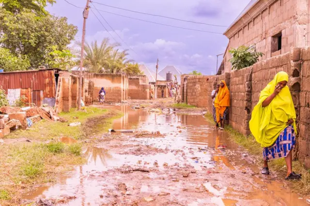 Agbara ojo ni Adamawa