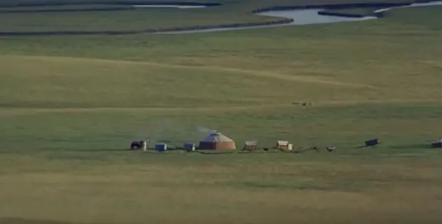 кадр из фильма