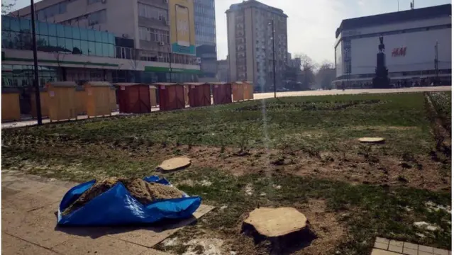 Panjevi umesto jelki