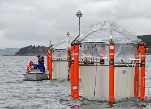 Mesocosms ("giant test tubes") allow scientists to study acidification effects on real-world organisms
