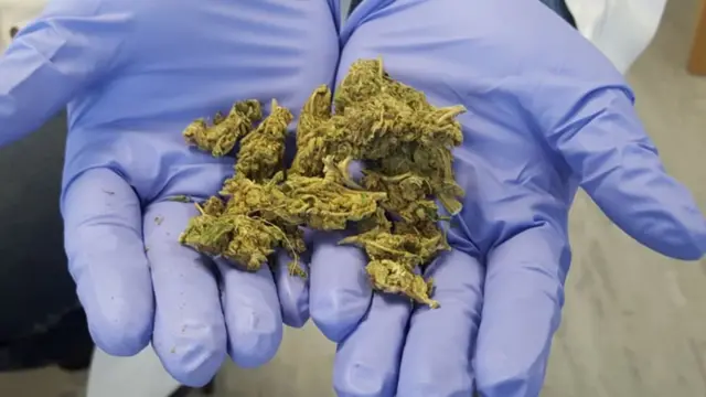 Bangi yenye nguvu nyingi