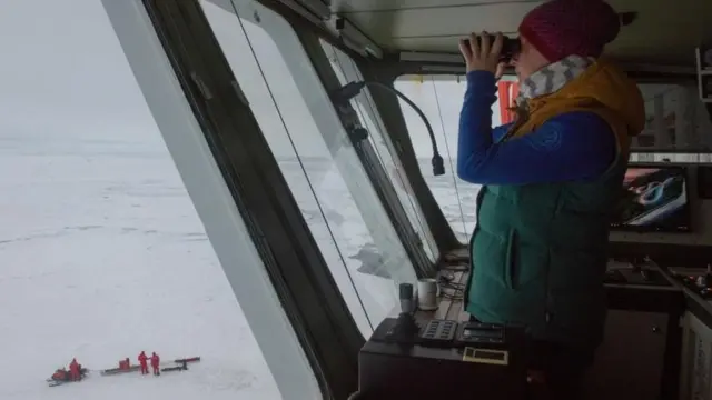 आर्कटिक