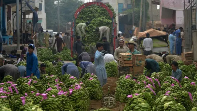 پاکستان، معیشت، ٹیکس