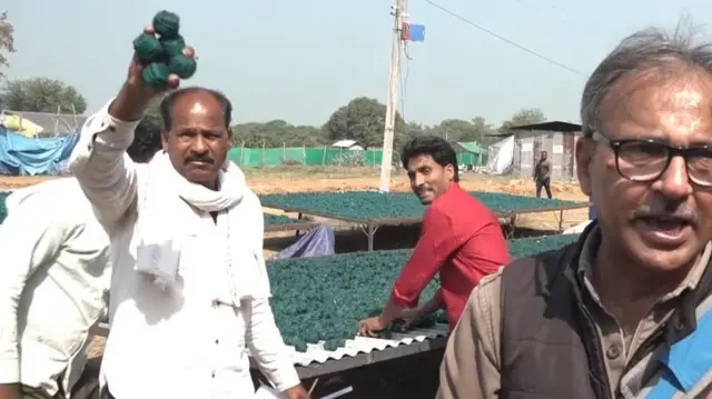 हरदा