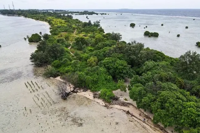 Pulau Pari