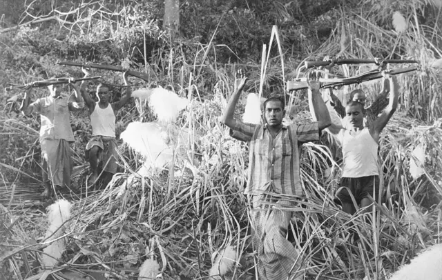 लडाइँको पक्षमा उभिएका पूर्वी पाकिस्तानका विद्रोहीहरू राइफल सहित 