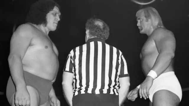 హల్క్ హోగన్, రెజ్లింగ్