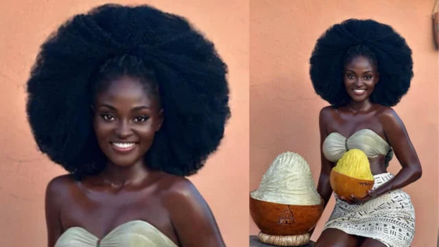 sheabutter has cosmetic and medicinal value