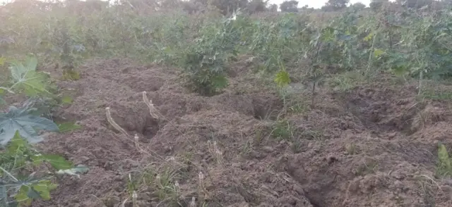 એક સ્વાભાવિક પ્રશ્ન થાય છે કે શું સફળ થશે