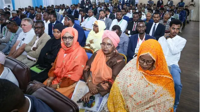 Ajnebi badan ayaa u shaqo taga Soomaaliya